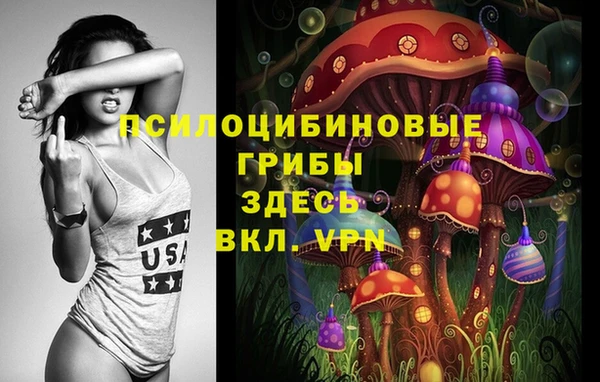 бошки Алексеевка
