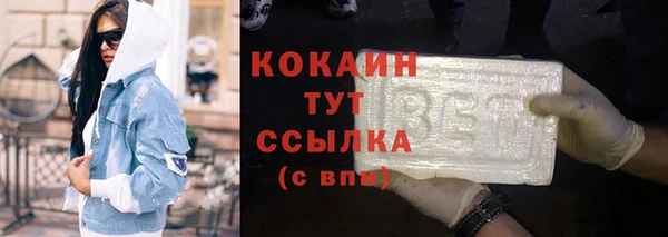 прущие грибы Нижний Тагил