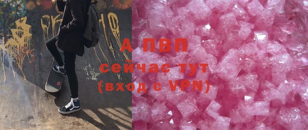 стаф Алексин