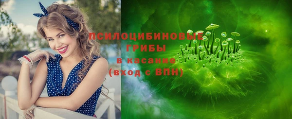 стаф Алексин