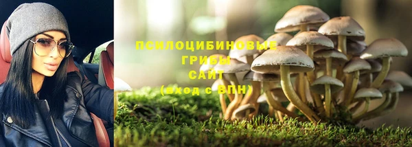 стаф Алексин